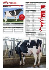 Bullenkatalog 2022